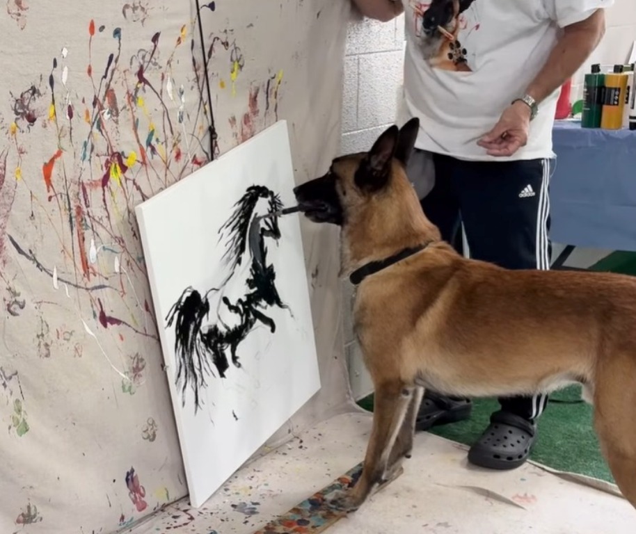 Monkey viral dog