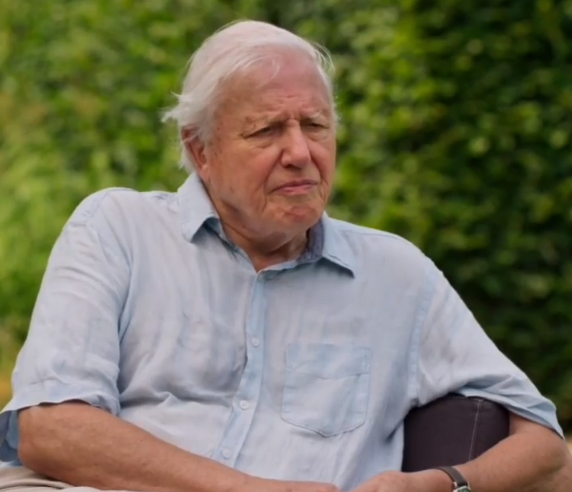 Writer, broadcaster and naturalist, Sir David Attenborough