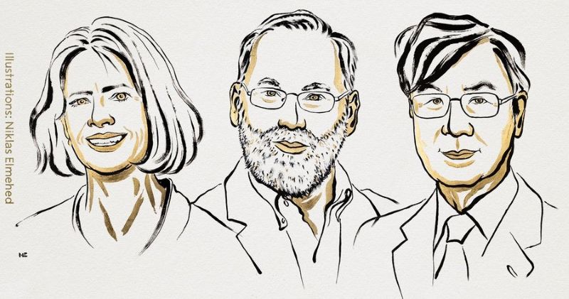 Scientists Mary Brunkow, Fred Ramsdell and Shimon Sakaguchi were awarded the Nobel Prize in Physiology or Medicine for 'their discoveries concerning peripheral immune tolerance'