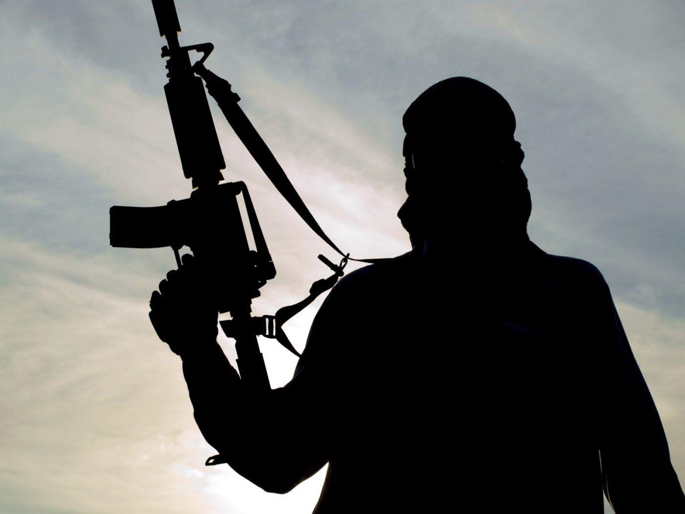 Hezbollah Radwan Force commander killed in Southern Lebanon, Israel confirms