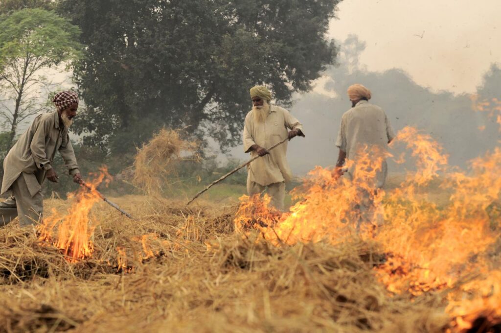 Punjab farmers burning straws