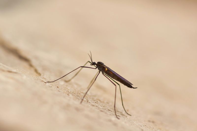 WHO says Malaria drug resistance is becoming a major threat  